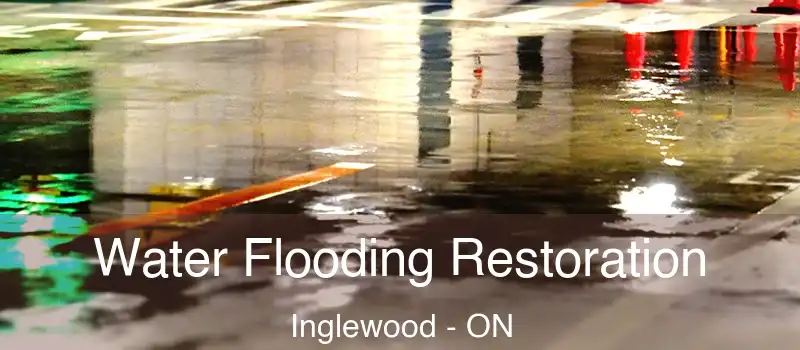  Water Flooding Restoration Inglewood - ON