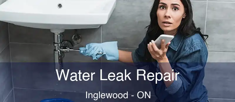  Water Leak Repair Inglewood - ON