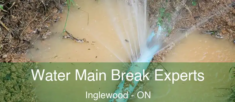  Water Main Break Experts Inglewood - ON