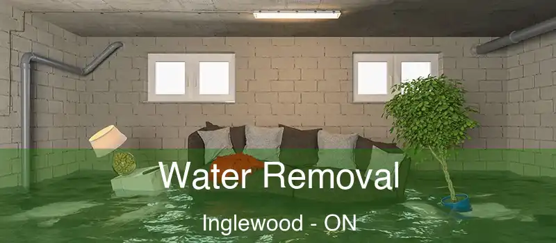  Water Removal Inglewood - ON