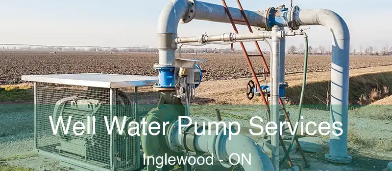  Well Water Pump Services Inglewood - ON